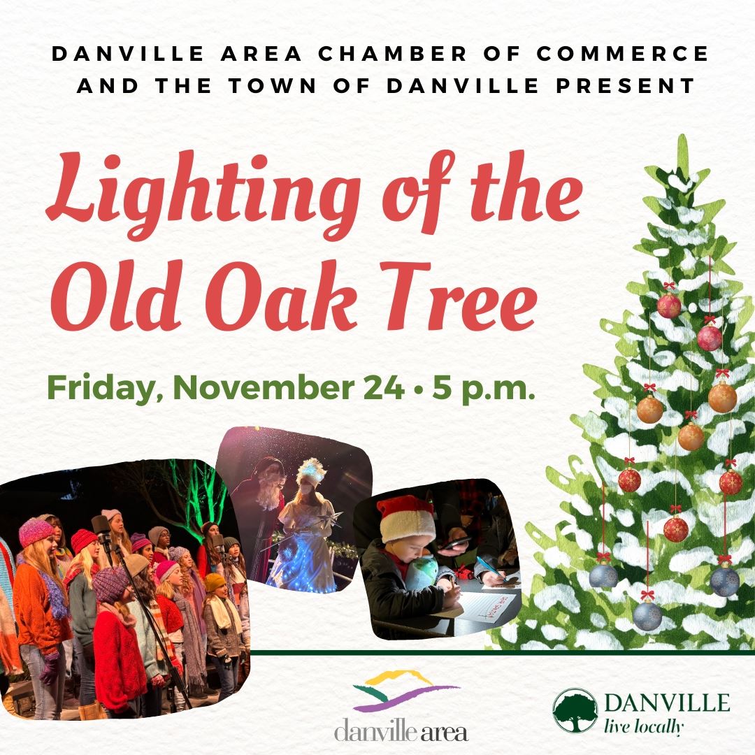 Lighting of the Old Oak Tree Square