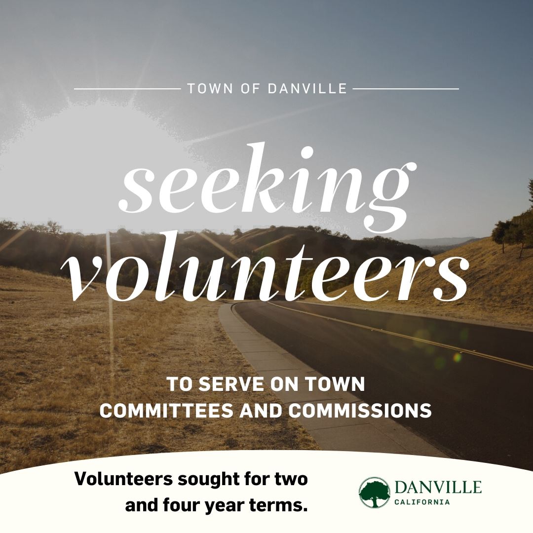 2023 Commission Recruitment Instagram Post (2)