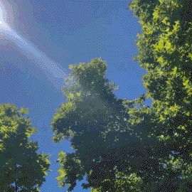 20240702_233335009_iOS