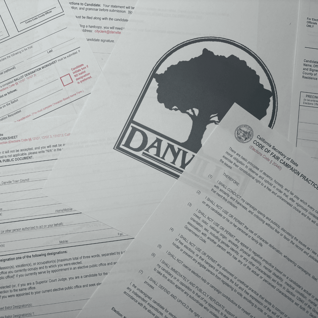 Election papers 2024