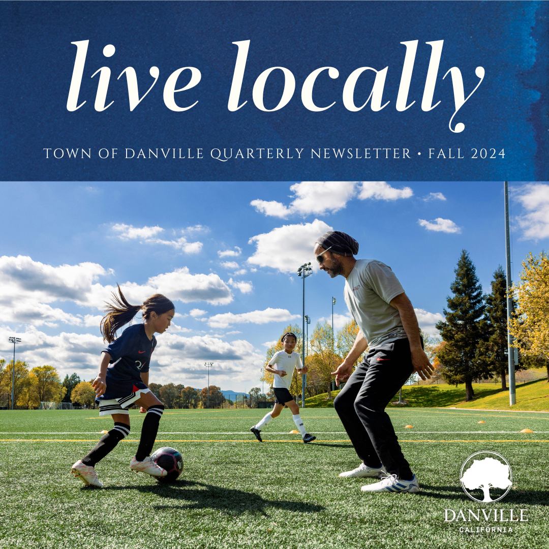 Quarterly Newsletter Graphic Summer 2024