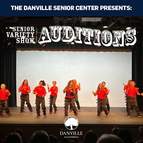 Social Media Variety Show 2025