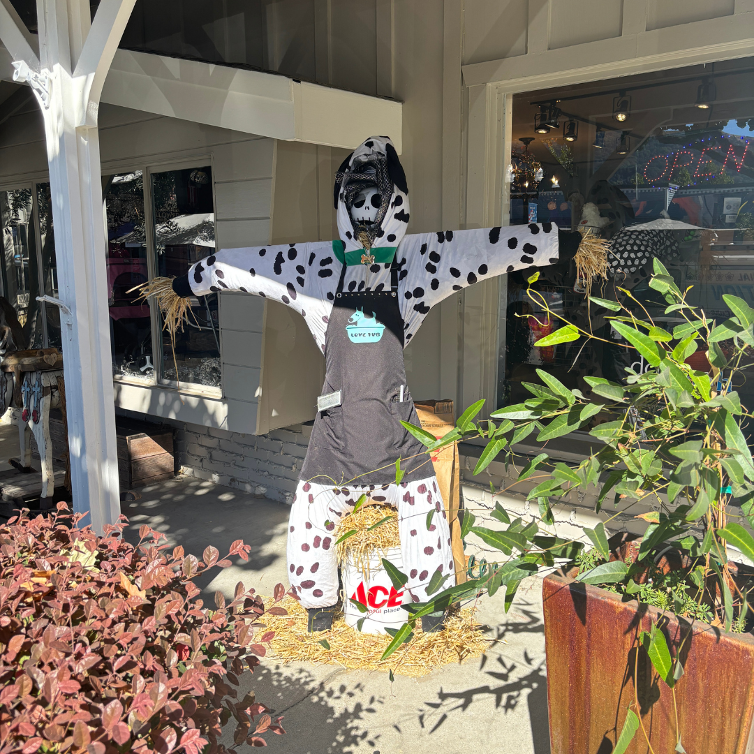 Scarecrow Stroll 2024