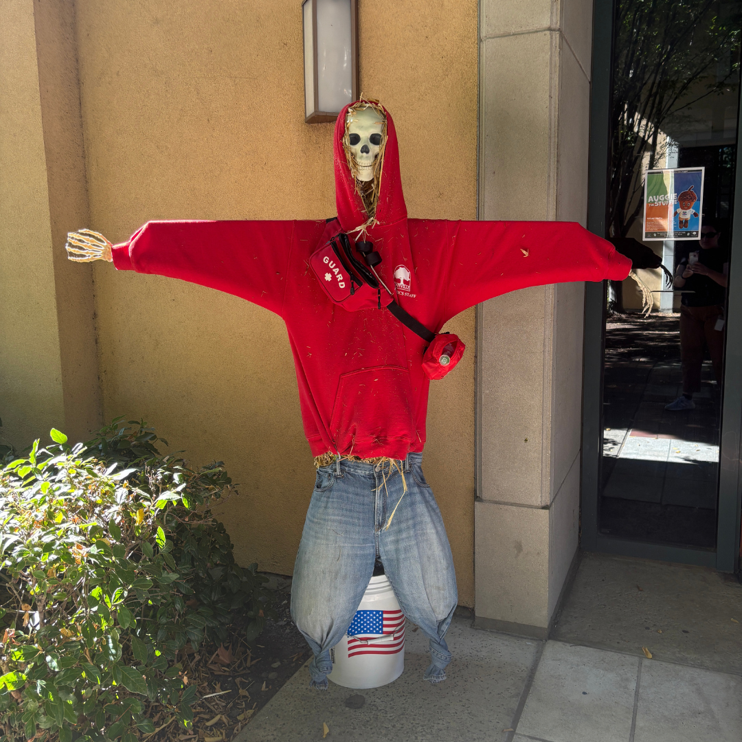 Scarecrow Stroll 2024