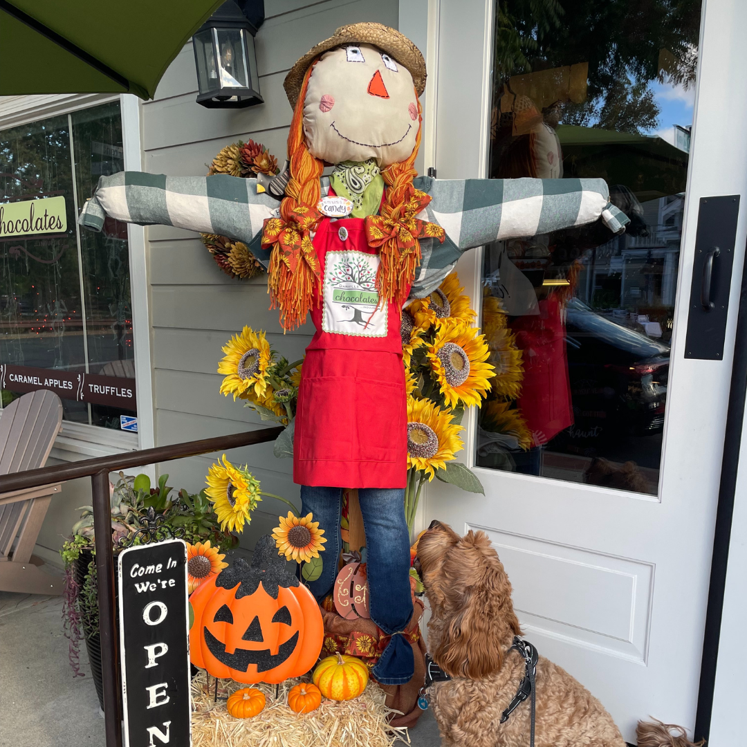 Scarecrow Stroll 2024