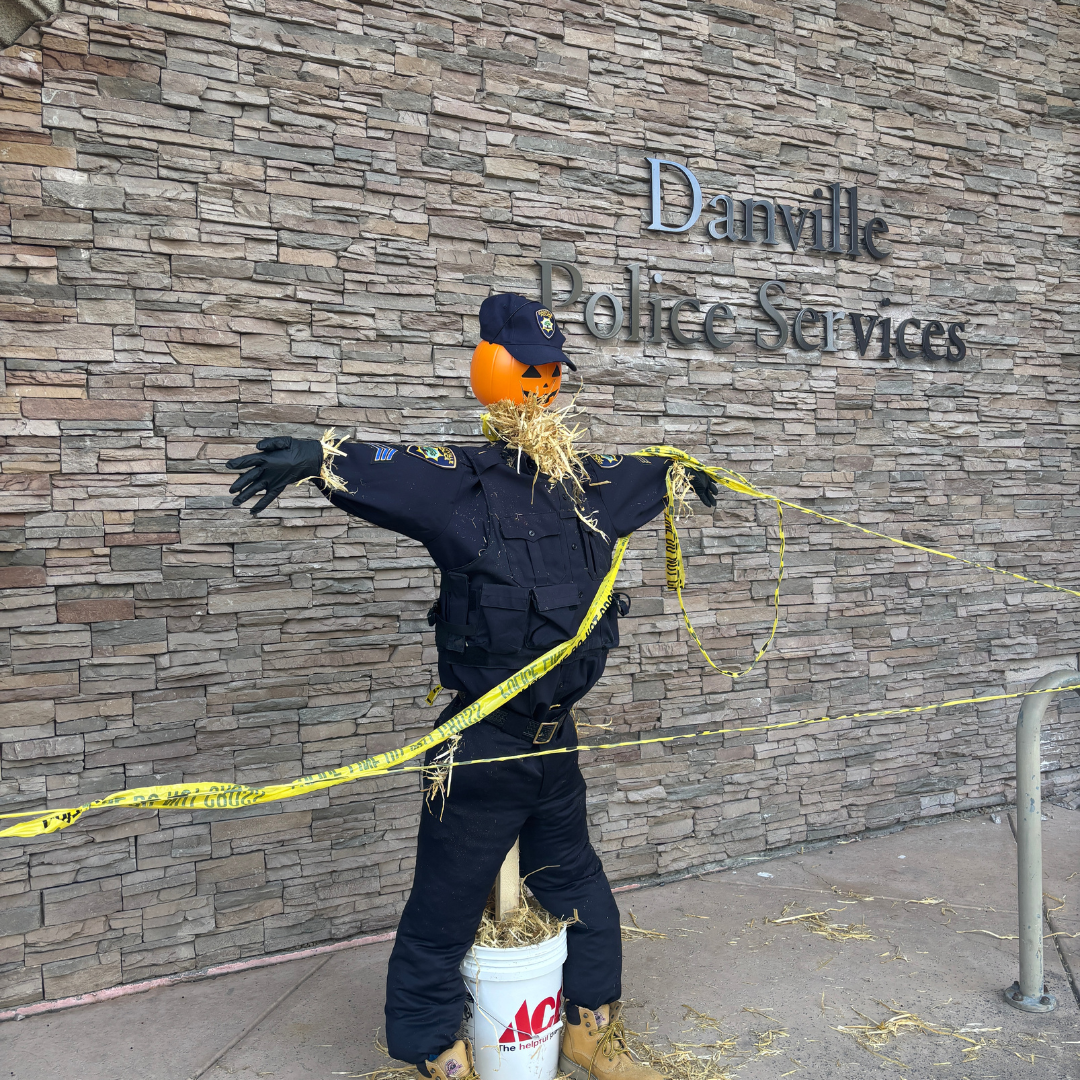 Scarecrow Stroll 2024