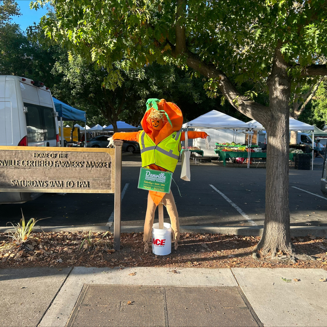 Scarecrow Stroll 2024