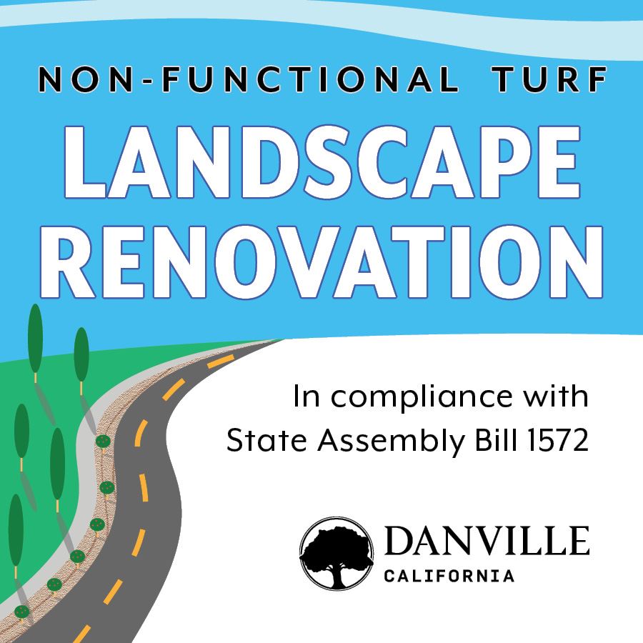 roadside turf project