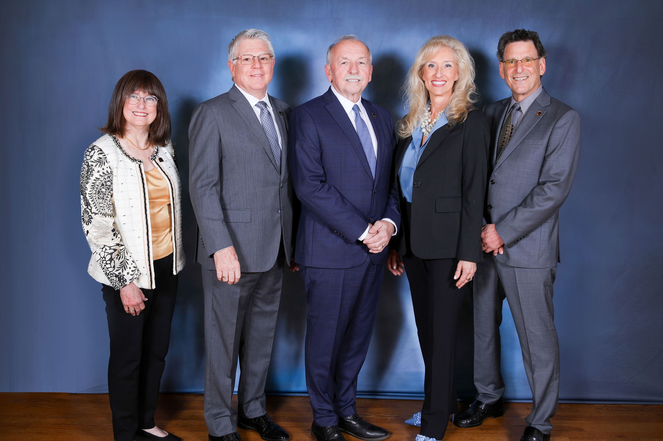 Town Council portrait 120225