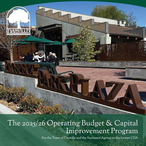 WEBSITE - Budget CIP Square Image